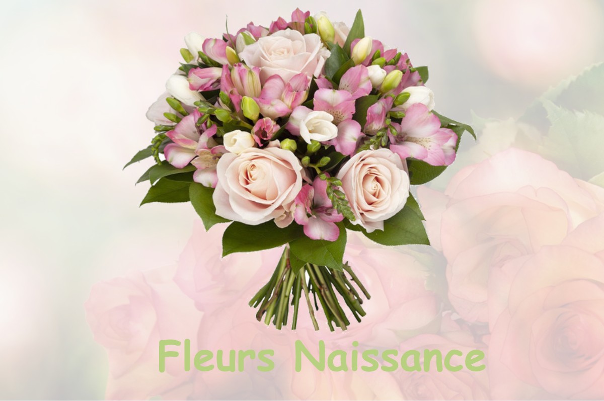 fleurs naissance LA-CHAPELLE-DU-MONT-DE-FRANCE